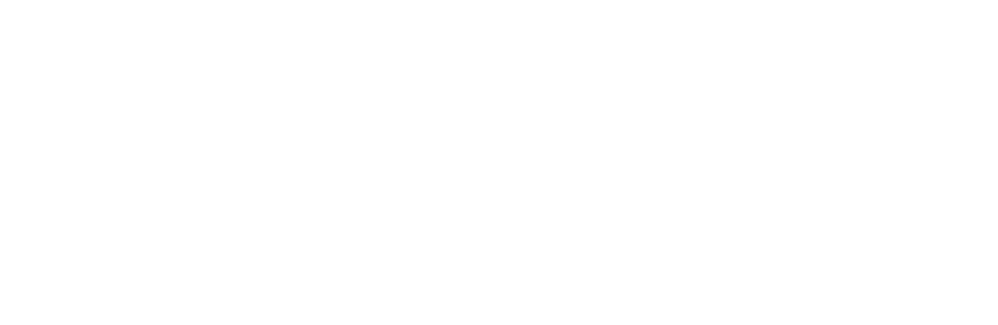 Giraffe Partners